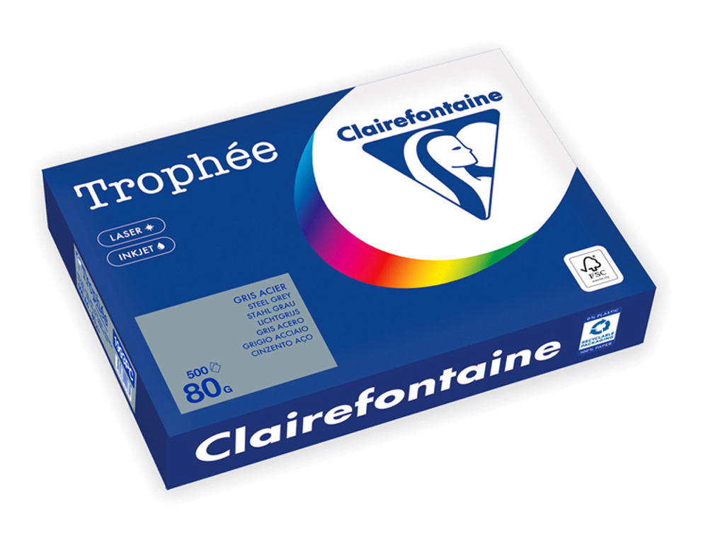 RAMETTE CLAIREFONTAINE PAPIER COULEUR A4 80G 500 FEUILLES   COLORIS GRIS ACIER